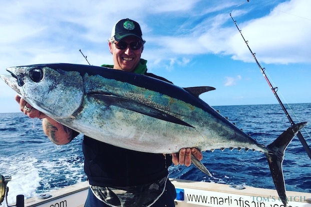 Albacore Fishing: species guide, charters and destinations - Tom's Catch